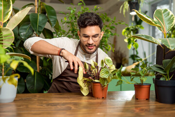Young man working in the flower shop and looking involved