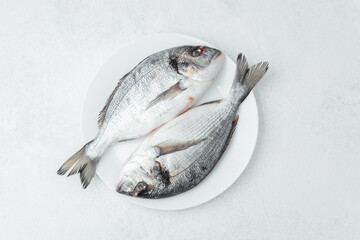 Fresh raw dorado fish on white plate over light background