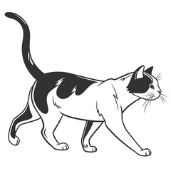 black and white cat easy art