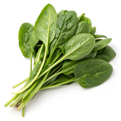 Fresh green spinach leaves on an alpha layer, isolated on a white background.