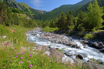 The mountain stream Doron pictured at Pont du Chatelard (Chatelard bridge) near Termignon, Maurienne Valley, Savoie, Northern French Alps, France, and surrounded by green landscape and mountains