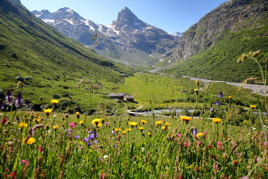 The hamlet La Duis, located by the mountain stream Arc and above L'Ecot, Bonneval sur Arc, Vanoise National Park, Maurienne Valley, Savoie, Northern French Alps, France, surrounded by mountains 