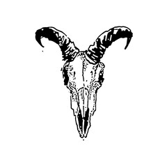 Skull, skull goat, goat, bones, skull, skullhead, vector illustration of an abstract skull, goat, goat tatto, skull tatto, horse, skull horse, animal