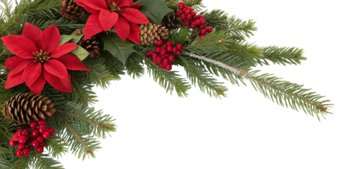 A festive close up of a lush green christmas wreath adorned with vibrant red poinsettias and natural pinecones against a stark black background