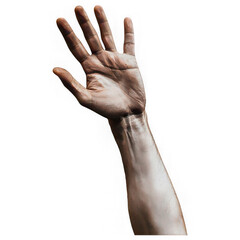 Male Human Arm and Hand Raised Upwards With Fingers Spread graphic design Transparent background