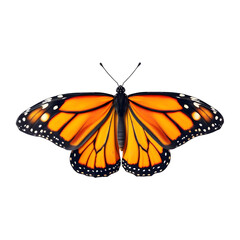 Obraz premium A detailed monarch butterfly with vibrant orange wings isolated on transparent background
