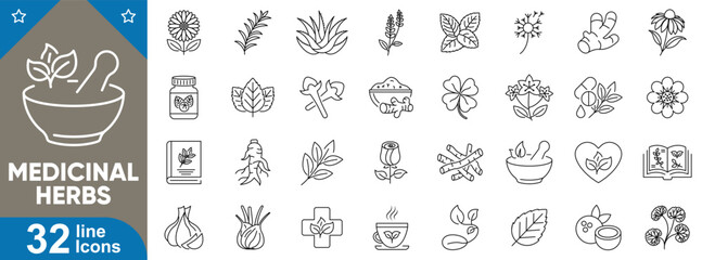 Medicinal herbs line icons set. Outline symbols for natural healing, aloe vera, basil, plants, chamomile, ginger, herbal remedies and more. Vector illustration.