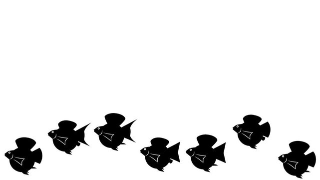 silhouette animation of a molly fish jumping on a white screen with empty space for text or title