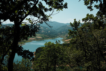 Scenic view of Rovni Lake and surrounding countryside in Serbia, framed by green summer forest trees and branches.