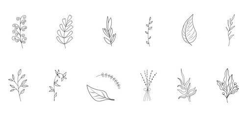 A lovely collection of handdrawn flowers and leaves set against a soft beige background, creating a delightful artistic composition