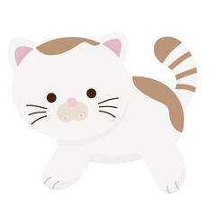 Illustration of a Brown and White Cute Cat
