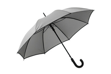 Gray umbrella, open, angled view (1)