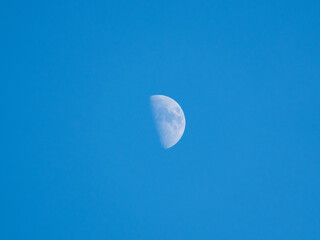 夏の夕方の青空に白い半月が浮かぶ01