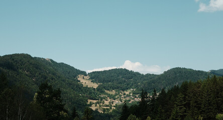 Obraz premium Scenic panoramic view of a mountain village surrounded by forested hills under a clear blue sky in Tara National Park, Serbia.