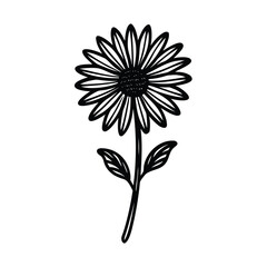 vector illustration of a flower