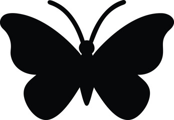 butterfly   graceful flier