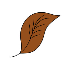 나뭇잎 가을 단풍잎 색칠 라인드로잉