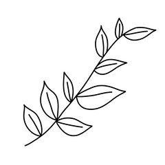 나뭇잎 단풍 가을 색칠공부 라인드로잉