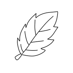 나뭇잎 단풍 가을 색칠공부 라인드로잉