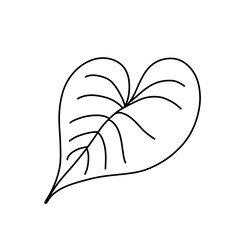 나뭇잎 단풍 가을 색칠공부 라인드로잉