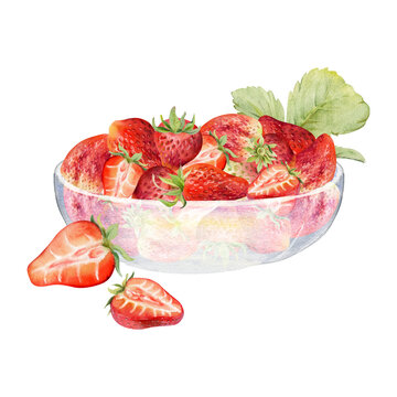 Strawberry berries leaves full and cut in half served in glass bowl, ripe picked garden pineberry strasberry harvest. Isolated illustration hand drawn in watercolor. Farmers market grocery preserves