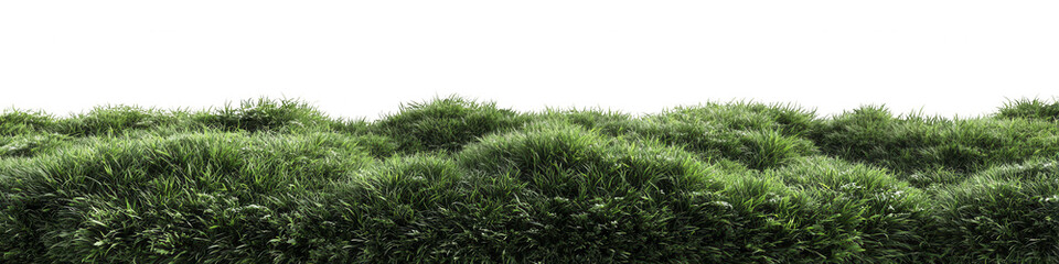 Fototapeta premium Lush green foliage field