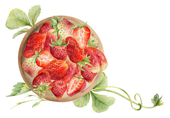 Strawberry served on ceramic dish with leaves tendrils, full and half cut, ripe picked garden berry strasberry harvest. Isolated illustration hand drawn in watercolor. Restaurant menu, farmers market