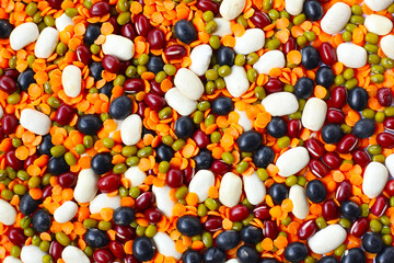 Colorful mixed beans and lentils, packed with plant-based protein and fiber