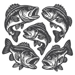 base fish vector illustration 