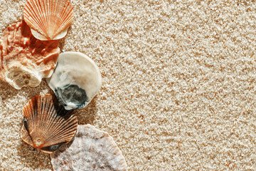 Obraz na płótnie Canvas Minimal aesthetic seashells pattern on beige sand, natural sea oceanic and summer textured background, summer relaxation, top view photo with delicate pastel colored shell, rest beach wallpaper