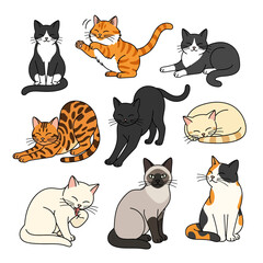 flat illustration set with transparent background of various cute cartoon cat characters in different poses, including sitting, playing, sleeping, and stretching. Ideal for pet and animal themes
