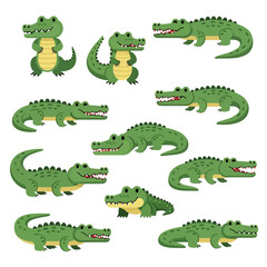 flat illustration set with transparent background of cute cartoon crocodile characters in various poses: standing, walking, sitting, and smiling. Ideal for children's designs and wildlife themes