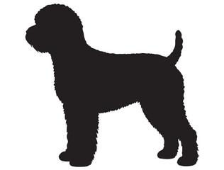 LAGOTTO ROMAGNOLO DOG SILHOUETTE
