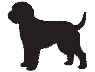 LAGOTTO ROMAGNOLO DOG SILHOUETTE