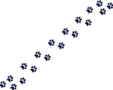 Impressions de pattes de chiens ou de chats - Animal de compagnie - Traces, silhouettes noires de pattes - Animal domestique qui marche - Banni&egrave;re minimaliste - Empreintes - F&eacute;lin ou canin
