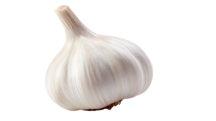 A single bulb of garlic with a smooth, white exterior and a rounded shape, showcasing its distinct texture and structure.