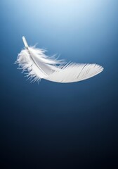 Obraz premium White feather floating in blue background