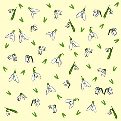 The cute white snowdrop flower hand drawn seamless pattern on the light green background.