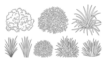 Collection of stylized plants and foliage bush grass