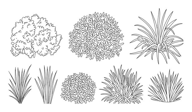 Collection of stylized plants and foliage bush grass
