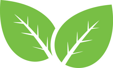 Green leaf icon nature growth eco friendly symbol