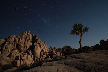 Night desert landscape with rocky peaks and a lone tree under a starry sky