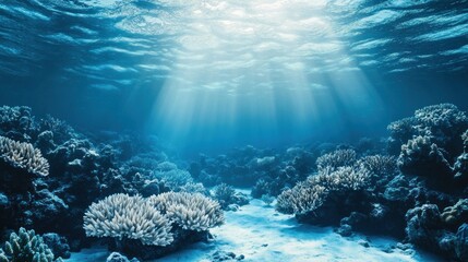 Obraz premium Sunlight streams through deep ocean water, illuminating coral reefs