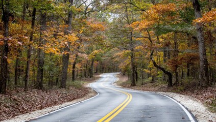 Winding road through autumn forest (1)