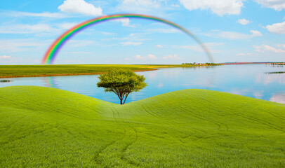 Fototapety na wymiar - Fototapeta24.pl