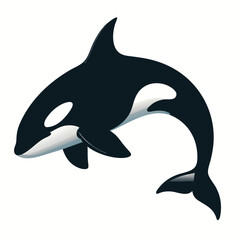 Obraz premium A stylized orca vector illustration of a black and white orca swimming on a plain background