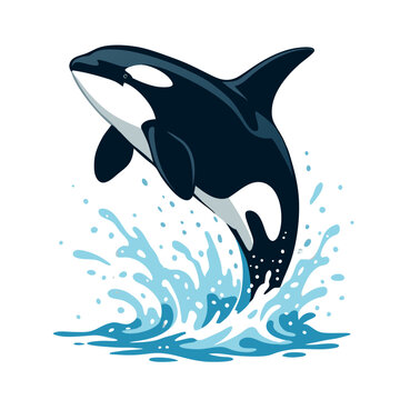 A stylized orca vector jumps out of the ocean with a splash of water on a white background