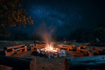 Campfire with glowing embers surrounded by logs for seating, starry night sky overhead