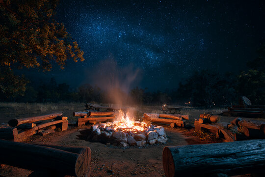 Campfire with glowing embers surrounded by logs for seating, starry night sky overhead