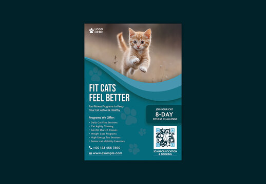 Cat Fitness Editable Flyer for Wellness Programs, Agility Training and Play Sessions with Cute Kitten Photo.